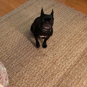 Meet your Posher, Ella